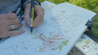 Field Sketching with Artist and Landscape Architect Chip Sullivan