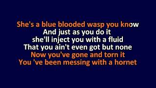 Barbra Streisand - Queen Bee - Karaoke Instrumental Lyrics - ObsKure