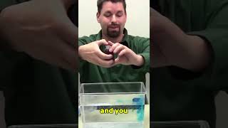 Warm Water Rises & Cold Water Sinks