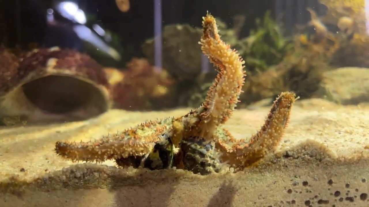 Restarting after a tank crash