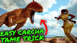 No Trap EASY Carcha Tame TRICK on Ark Survival Ascended!! Easily Tame The Most OP Creature!!!