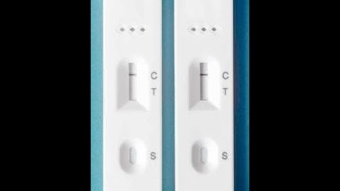 Automatic rapid test kit assembly machine