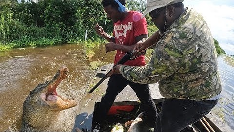 Gator Hunt in the Marsh DIRTY, RAW, and REAL Louisiana (Catch and Cook) 