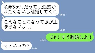 【LINE】重病のフリをして妻に離婚を迫るアフォ夫「余命3ヶ月だから別れよう…」→離婚成立で浮かれる夫にある事実を伝えた結果www