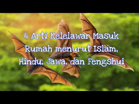 4 Arti Kelelawar Masuk Rumah menurut Islam, Hindu, Jawa, dan Fengshui
