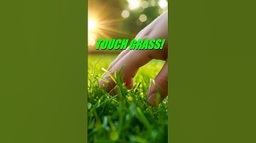I Touched Grass for the First Time... #memes