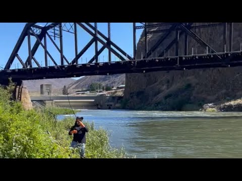 Video: ¿Puedes pescar en el río yakima?