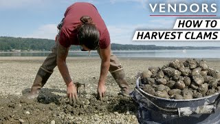 The Techniques Behind Harvesting the Best Clams on the West Coast - Vendors