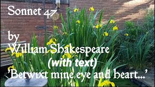 Sonnet 47 with text Sonnets Shakespeare