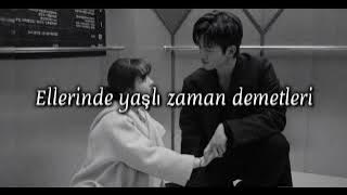 Sezen Aksu-Bir çocuk sevdim (Sözleri/Lyrics)