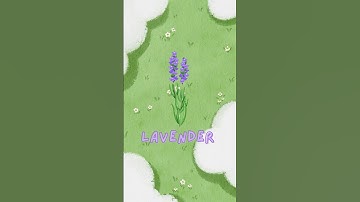 10 từ vựng tiếng Anh cho bé | Chủ đề Loài hoa (part 2) | EnglishWonder Kids #shorts