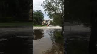 Florida flooded BUST OUT THE WAKEBOARD ?