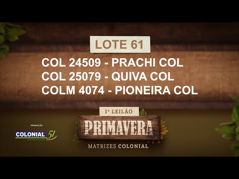 LOTE 61   COL 24509,25079,COLM 4074