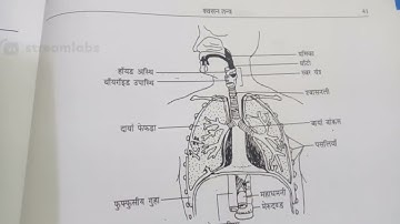 HOME SCIENCE important questions TGT PGT LT grade home science