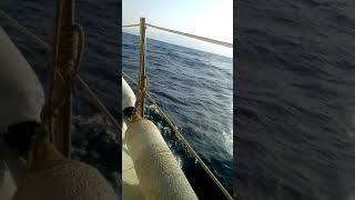 31 Temmuz 20213 Geneoa Ile 3,8 Mi L Güzel