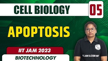 Apoptosis | Cell Biology 05 | Biotechnology | IIT JAM 2023
