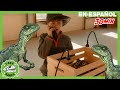 T-Rex Gigante Persigue Ranger | 30 min de videos de dinosaurios para niños