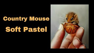 Soft Pastel And How To Choose Paper [country mouse and hands] screenshot 1