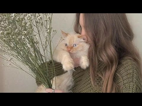 البارت 15 عشق احفاد شيخ هاشم 