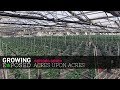 Growing Exposed Season 1 Episode 7 - Acres Upon Acres