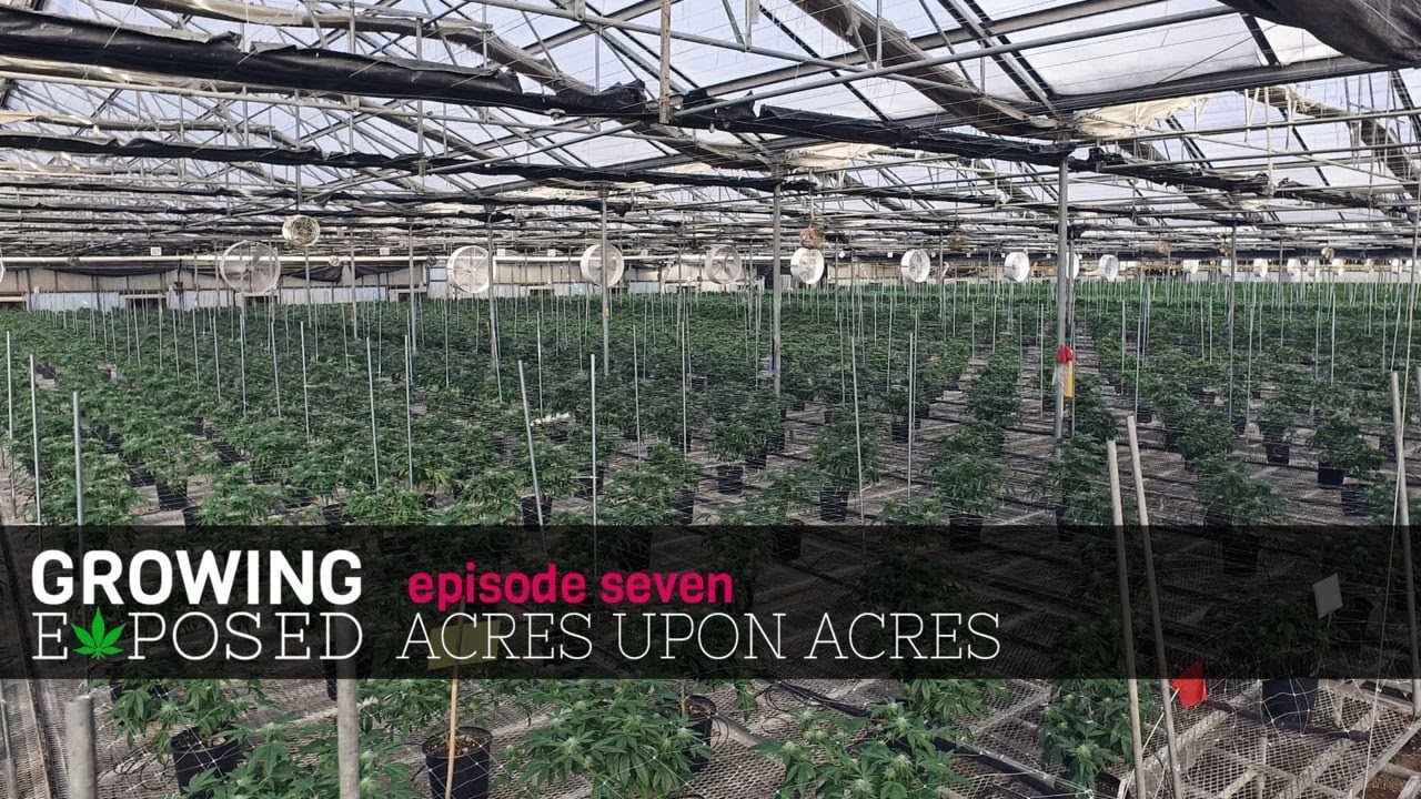 Growing Exposed Season 1 Episode 7 - Acres Upon Acres