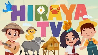 HIRAYA TV - AWITING PAMBATA 2024 COMPILATION