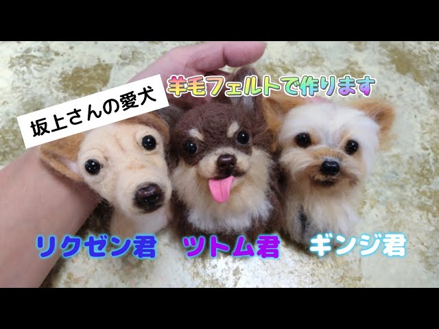 坂上忍さんの天使になった 愛犬を羊毛フェルトで作ります。 - YouTube