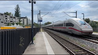 Bahnverkehr in Schönenwerd SO (14.09.2023)