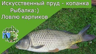 Рыбалка на искусственном пруду . Ловлю карпиков на опарыша . Копанка в огороде