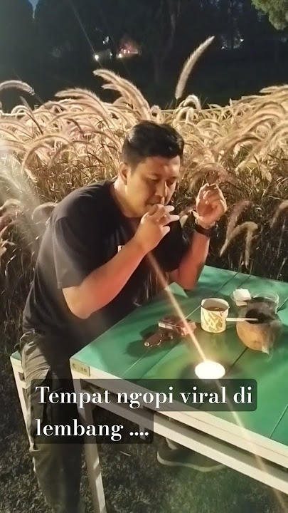 vibes Lembang coffee #cow #dj #cover #bandung #kopi