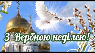 З Вербною неділею! Вітаю з Вербовою неділею! Вербна неділя 💙💛