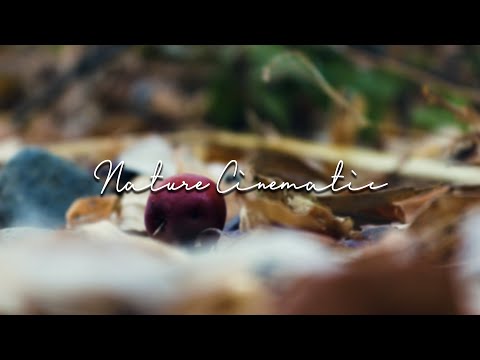 Nature Cinematic | Video Sinematik Alam KEREN