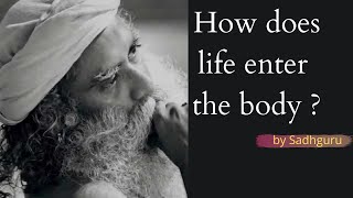 How Does Life Enter The Body Sadhguru Answers [Audio with Subtitle]