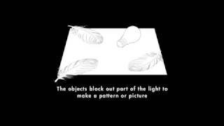 Making a Photogram by ILFORD Photo