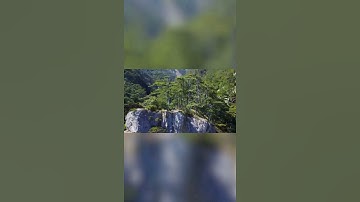 سورة يوسف ( 5 - 7 ) .. هدوء