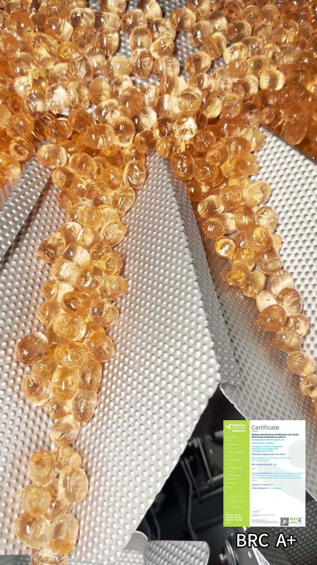 Candy Factory Directly | OEM & ODM Custom Processing Available