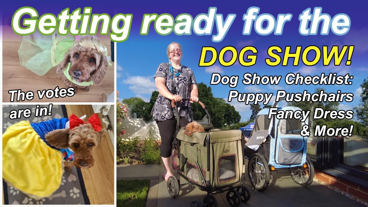 Dog Show Prep: Costumes, Packing & Puppy Pushchair Test! 🐾🎪 Get ready for Paws In The Park!
