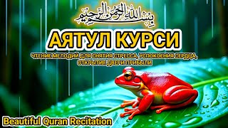 видео: Красивое чтение Аятуль Курси 10 часов без остановки — Изгнание джиннов и успокоение сердца картинка: Красивое чтение Аятуль Курси 10 часов без остановки — Изгнание джиннов и успокоение сердца