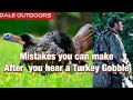 Mistakes you can make after you hear a TURKEY Gobble