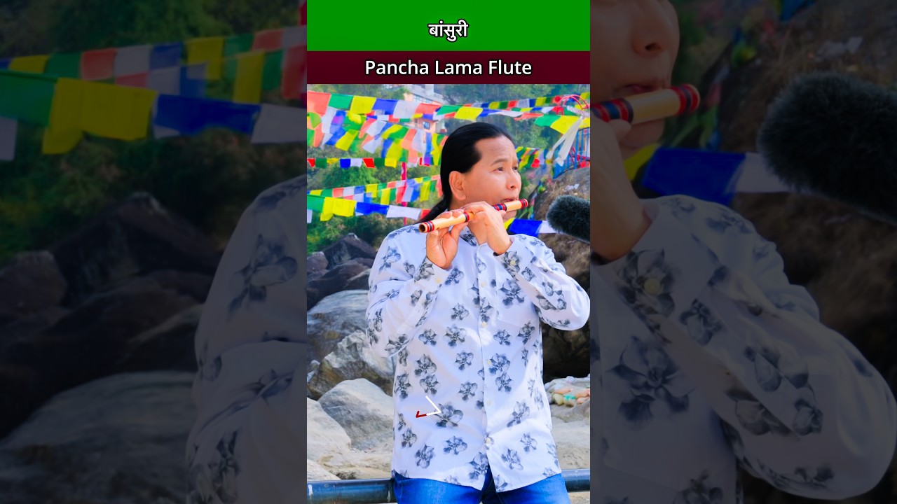 Flute Music | Bansuri Dhun | Bird Sound With Nature | Instrumental Music #flute #flutemusic #shorts