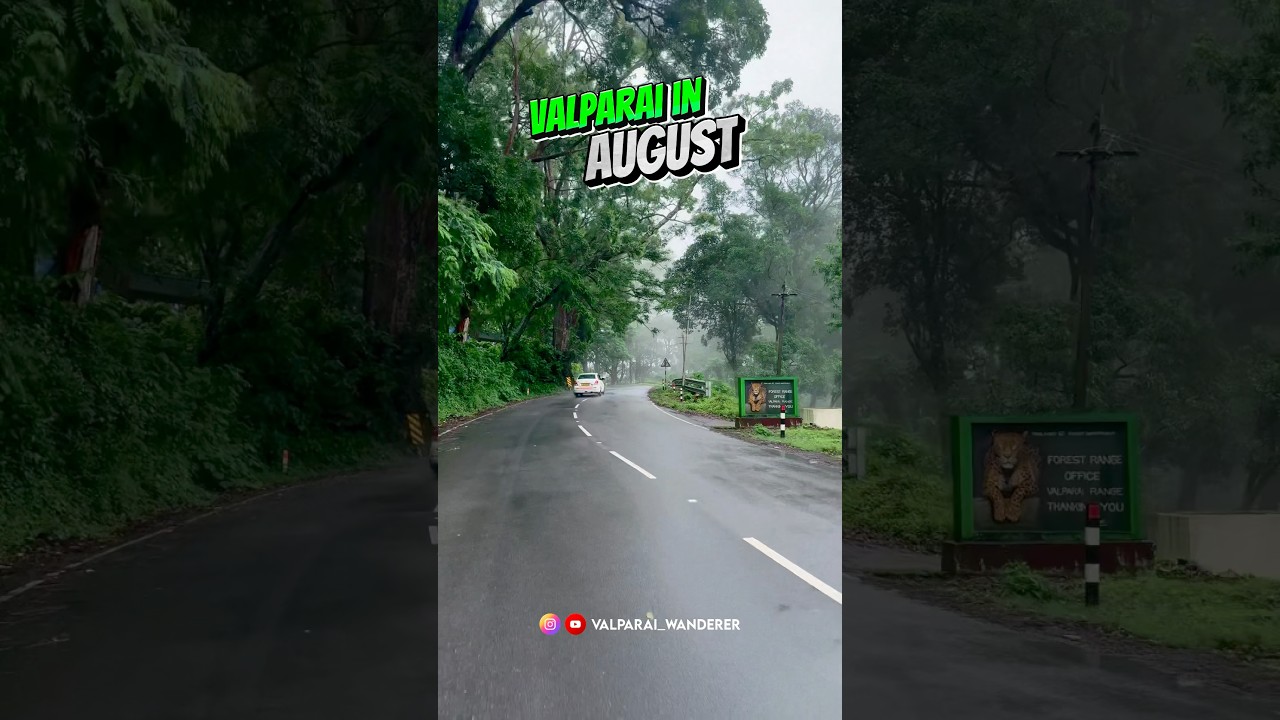 Valparai in August 😍 
