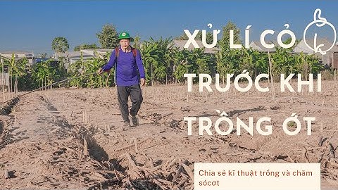 XỬ LÍ CỎ TRƯỚC KHI XUỐNG GIỐNG ỚT