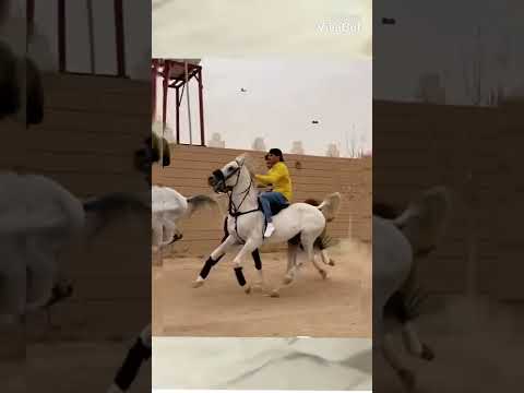 تصميم لا حاتم الشمري ناااار 