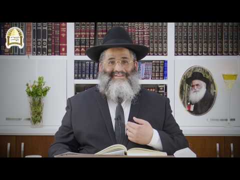 פסח שני - אין לך יהודי אבוד לעולם! הבדלי גישה מהותיים לחיים ועניין רצוא ושוב - פרשת אמור