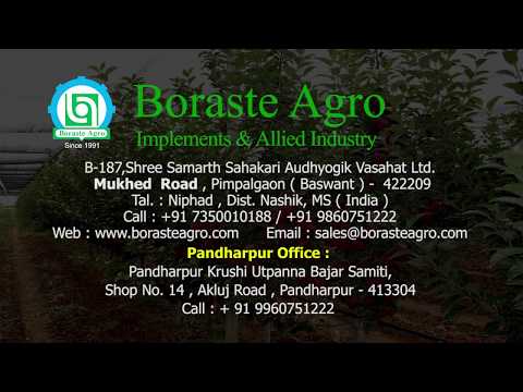 Boraste'sw ADITI mist blower for pomegranate garden