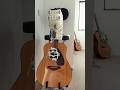 A guitar-playing robot performing on real strings #robot #guitar #robotics #guitar #robotic