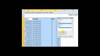 Using Subtotals and Pivot Tables - Lesson from My Excel 2010 Video Package
