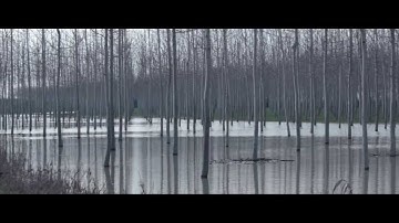 Dropeners - Lead Your Light (Official Video)