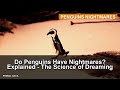 Do Penguins Have Nightmares? Explained - The Science of Dreaming