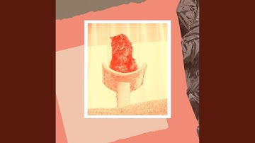 Warm Moods for Lazy Cat Days